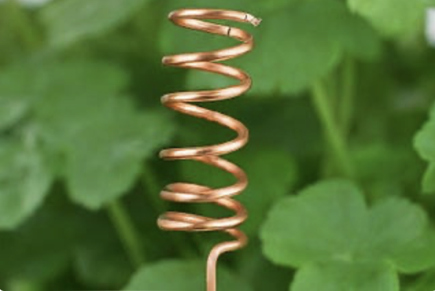 Electroculture: Revolutionizing Agriculture with Electricity